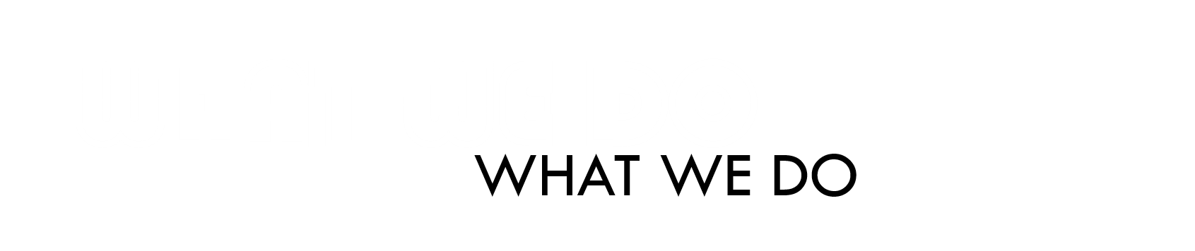 WHAT WE DO 2 WHAT WE DO 2